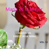 Este Gozo Que Tu Sientes