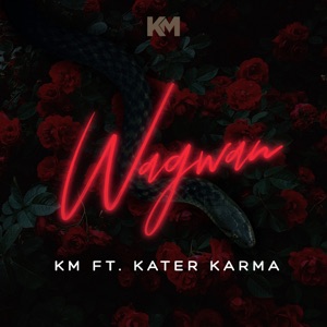 Wagwan (feat. Kater Karma) - Single