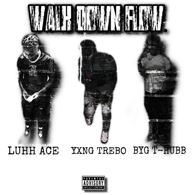 Walk Down Flow (feat. Luhh Ace & BYG T-Hubb) - Single