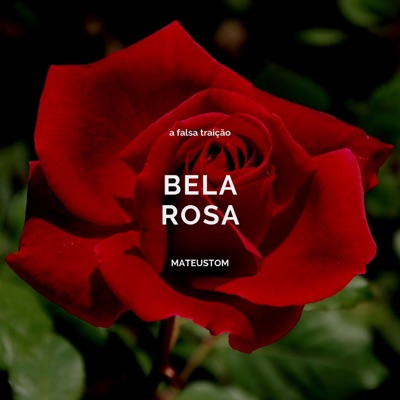 Bela Rosa - Single