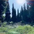 Holiday Memories