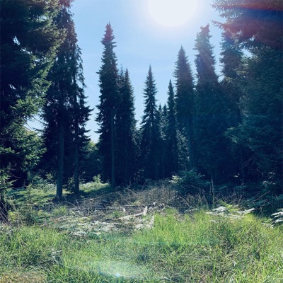 Holiday Memories - Single