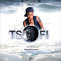 Tsofi - Single - AR-AB