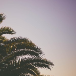 How Not to Die on a Desert Island - EP