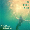 In the Air - Single