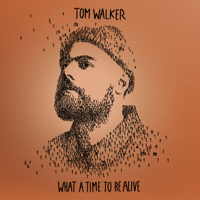 Something to Believe In-Tom Walker