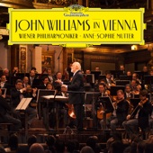 John Williams in Vienna artwork