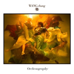 Orchesography