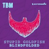 Blindfolded (Radio Edit)