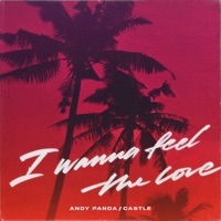 I Wanna Feel the Love - Single - Andy Panda & Castle