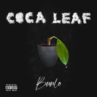 Coca Leaf - Single - Bunlo