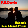 Words (Extended Version) - F.R. David