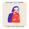 I Can Not Explain (feat. Steven Ellis) - The Big Let Down lyrics