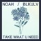 Take What U Need (feat. Blkulv) - Noah Kammer lyrics