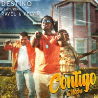 Contigo la Noche (feat. Ravel & Kelvin) - Single - Destino