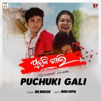 Puchuki Gali (Recreated Version) - Single - Mk Mukesh
