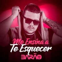 Me Ensina a Te Esquecer - Single - MC Barão