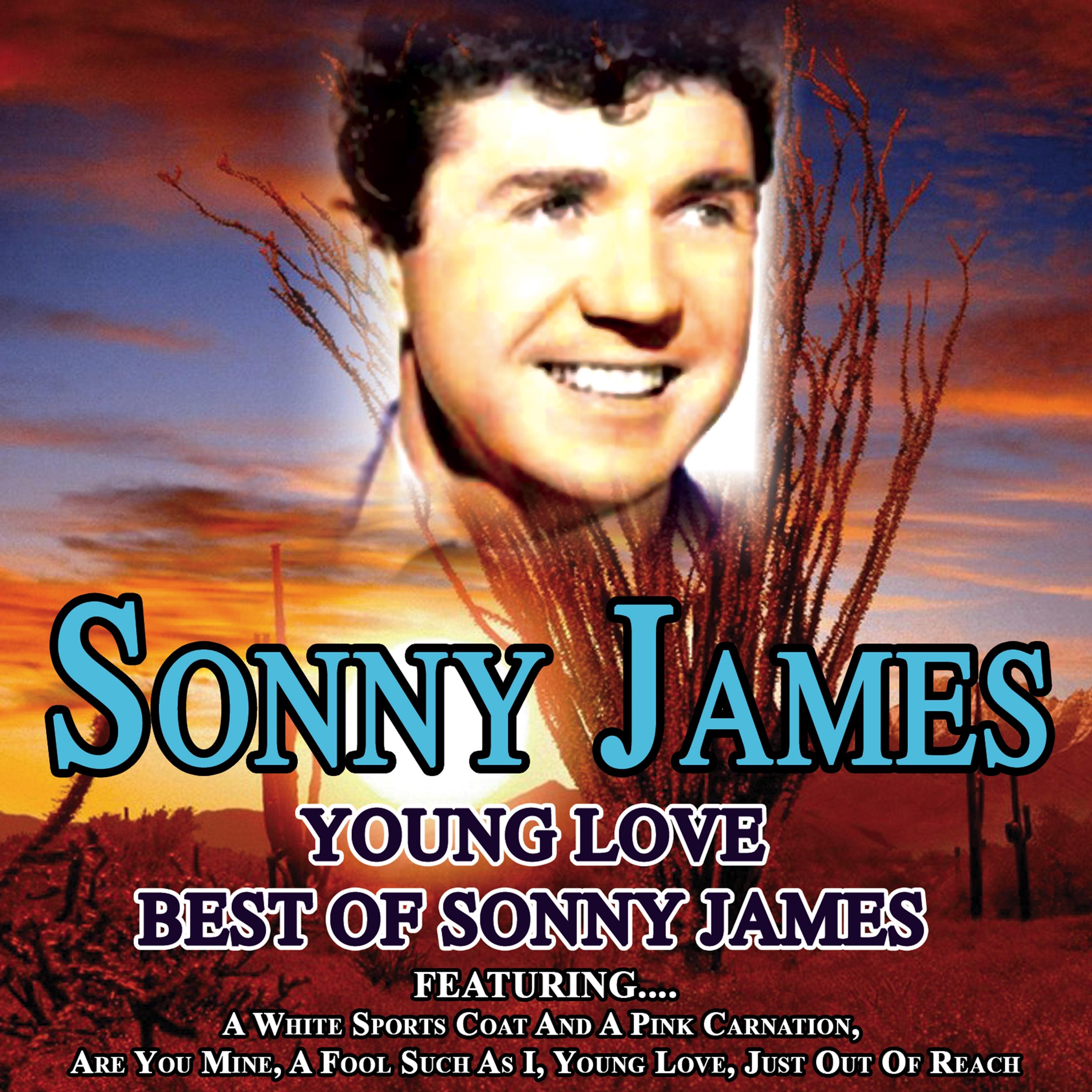 Young Love - Best of Sonny James