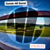 Mi Sensi - Single