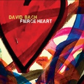 David Bach - Fierce Heart
