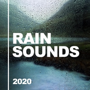 2020