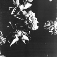 Teach Me - Single - Citizens