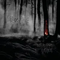 Bleak is the light