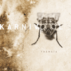 Karnivool - Synops Grafik