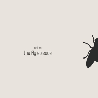 The fly episode