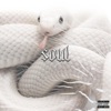 Soul - Single