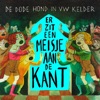 Er Zit Een Meisje Aan de Kant - Single