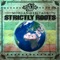 Light It Up (feat. Jo Mersa Marley) - Morgan Heritage lyrics