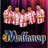Mallanep