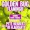 Flamingo (feat. Onili) [Club Mix] - Golden Bug lyrics