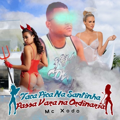 Taca Pica na Santinha Passa Vara na Ordinária - Single