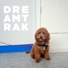 Dreamtrak