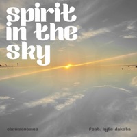 Spirit In The Sky (feat. Kylie Dakota) - Single - Chromosomes