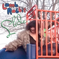 Slide - Single - Lamb Rabbit