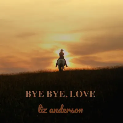 Bye Bye, Love - Liz Anderson