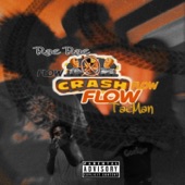 Crash Flow (feat. Taeman) artwork