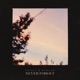 Never Forget Single