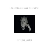 The World I Used to Know artwork