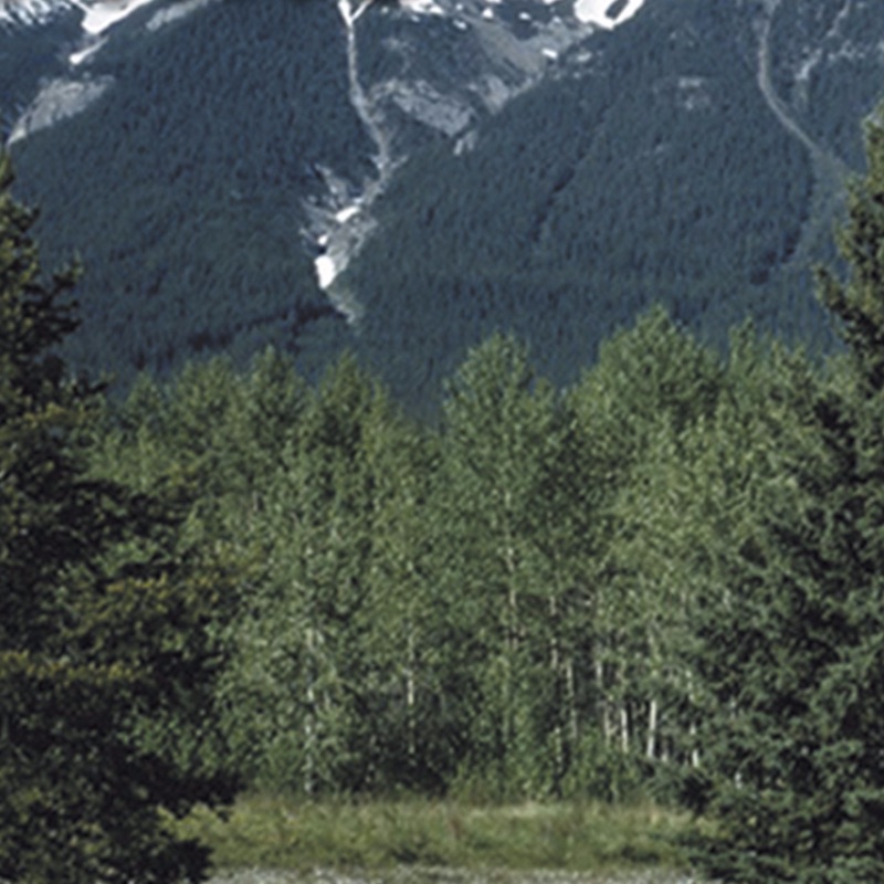 Coro Menap - Siempre Caminé