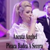 Pleaca Badea A Secera - Single