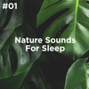 Sleep Music & Rain - Sleep Sounds of Nature, BodyHI & Nature Sound Collection