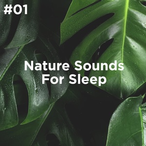 #01 Nature Sounds for Sleep