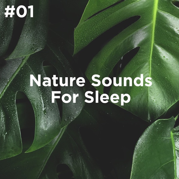 #01 Nature Sounds for Sleep