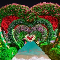 Down for Forever - Single - Kid Wavy