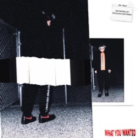 What You Wanted - Single - MARCELO