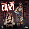 Crazy (feat. King Hoodie)